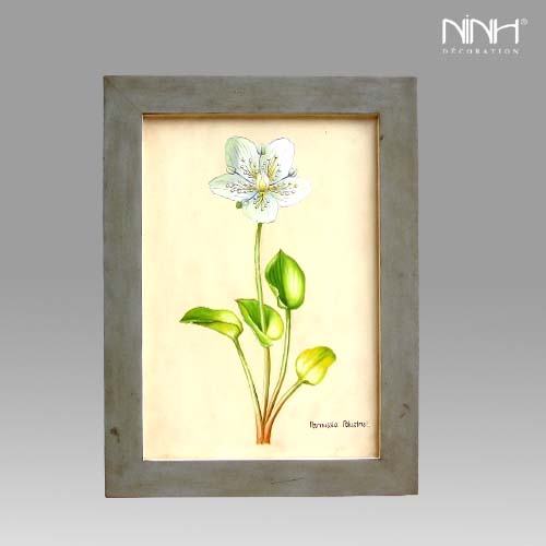Click to larger view BOTANICAL HAND-PAINTING